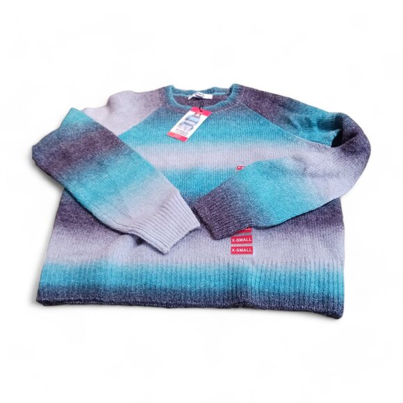 BB Dakota x Steve Madden Blue Stripe  Ombre Crewneck Sweater NWT  Size XS - Picture 8 of 15